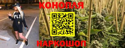 крисы Севастополь