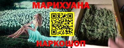 крисы Севастополь