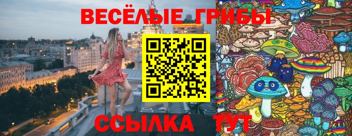 Псилоцибиновые грибы GOLDEN TEACHER  Галлюциногенные грибы Cubensis  Вход с VPN  Первоуральск 